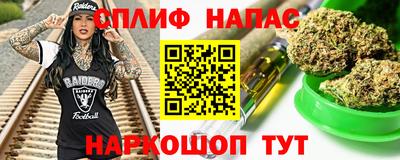 МДПВ Татарск
