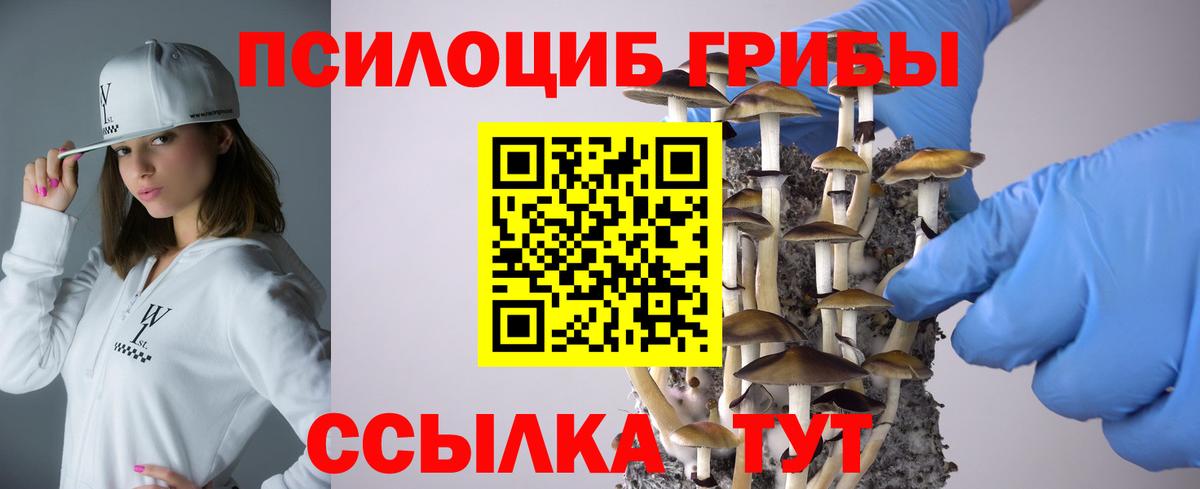 Галлюциногенные грибы Psilocybine cubensis Наро-Фоминск